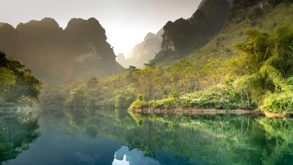 高效高标准精密
